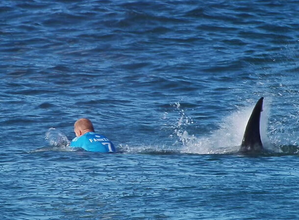 Great White Attacks a Professional Surfer