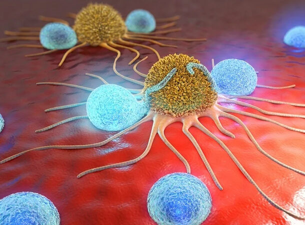 immune cells kill cancer