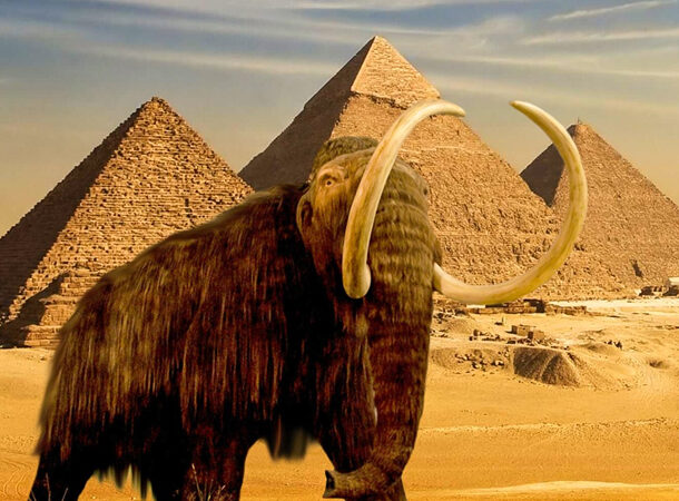 mammoths pyramids