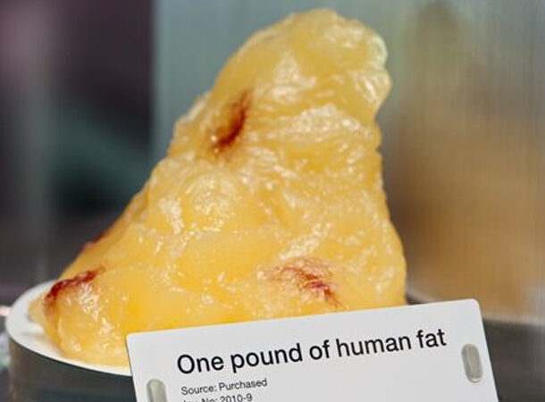 pound of fat