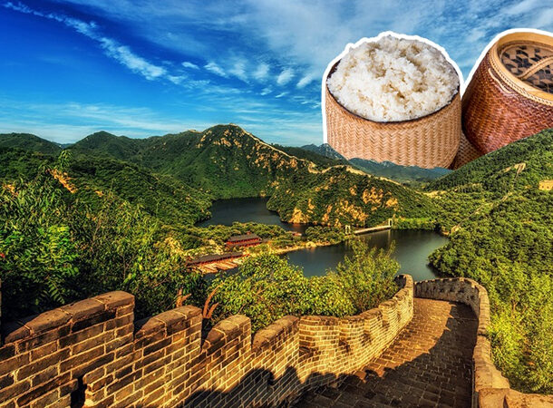 rice in great wall