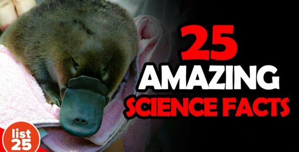 25 amazing science facts that are weird, wild, and true