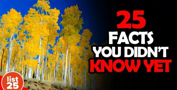 25 things you did not know what they are