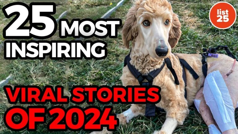 25 Most Inspiring Viral Stories of 2024
