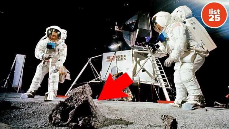 Unbelievable Facts That Will Shock and Amaze You