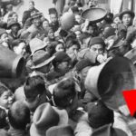 Dark Truths About Everyday Things You Never Questioned