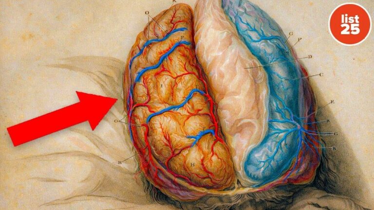 25 Fascinating Facts About Multilingual People