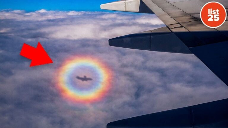 25 Natural Moments Most People Miss in Their Lifetime