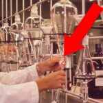 25 Times Science Admitted It Was Wrong